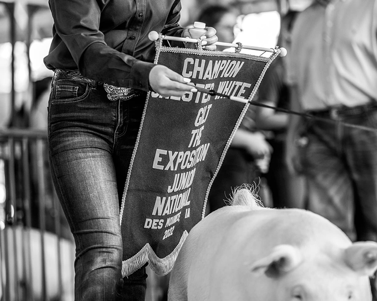 girl holding banner walking pig