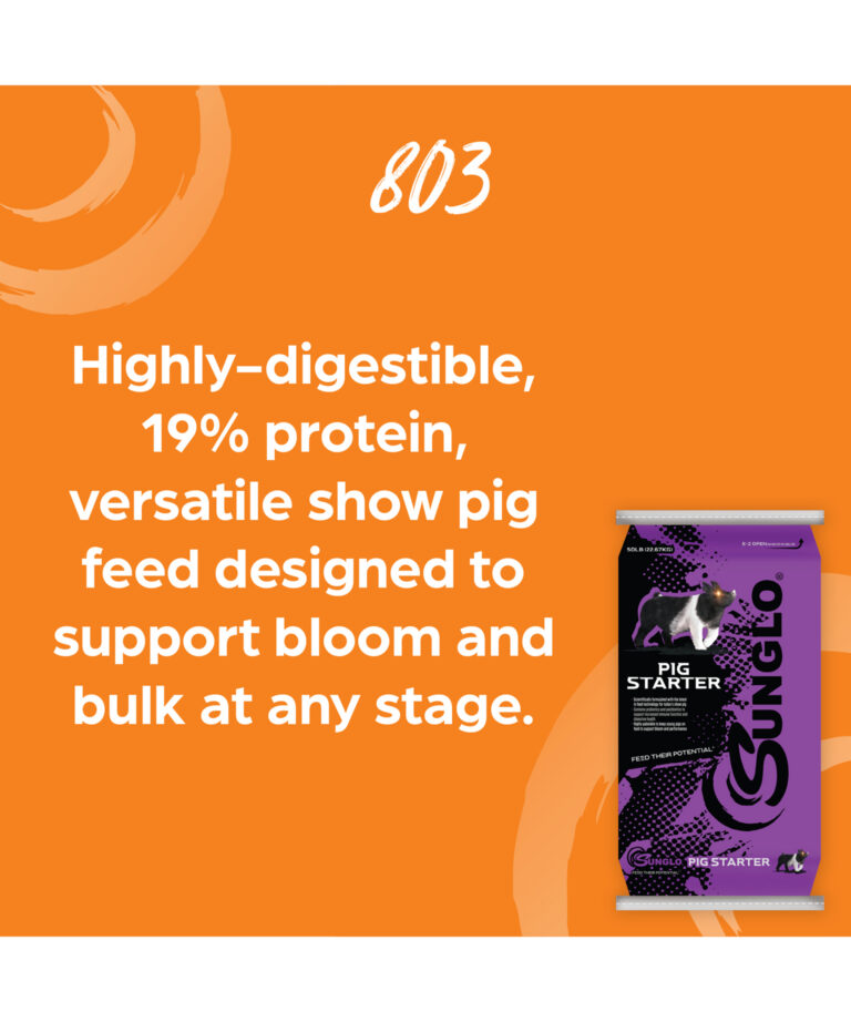 Sunglo 803 highly-digestible 19% protein