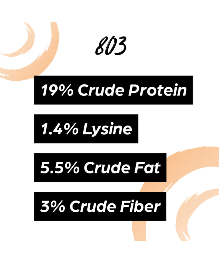 Sunglo 803 19% crude protein