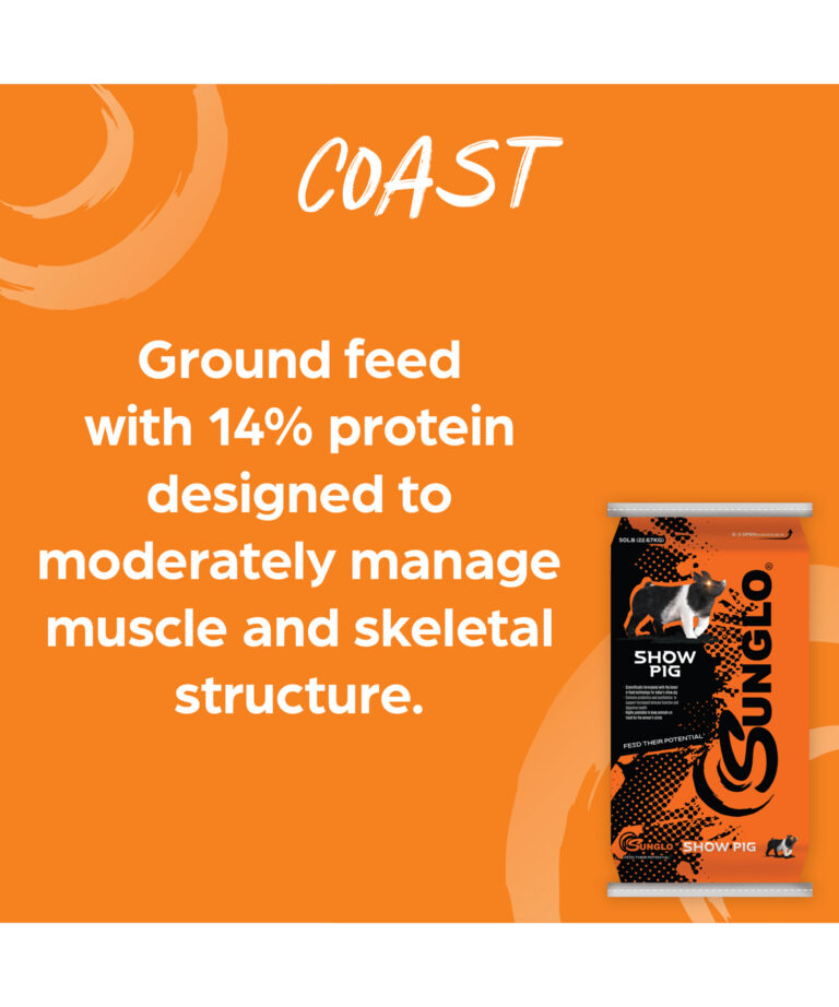 Sunglo Coast ground feed