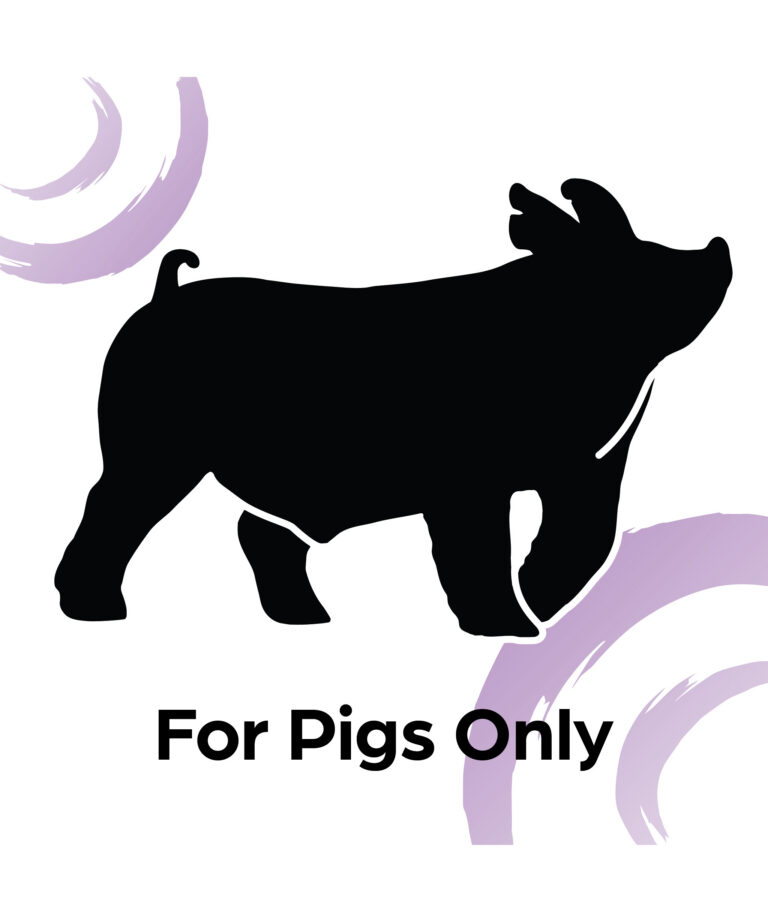 For pigs only