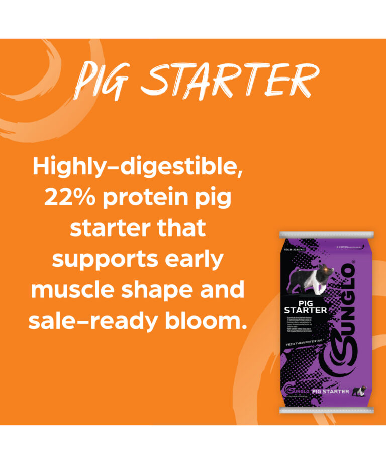 Sunglo pig starter highly-digestible 22% protein