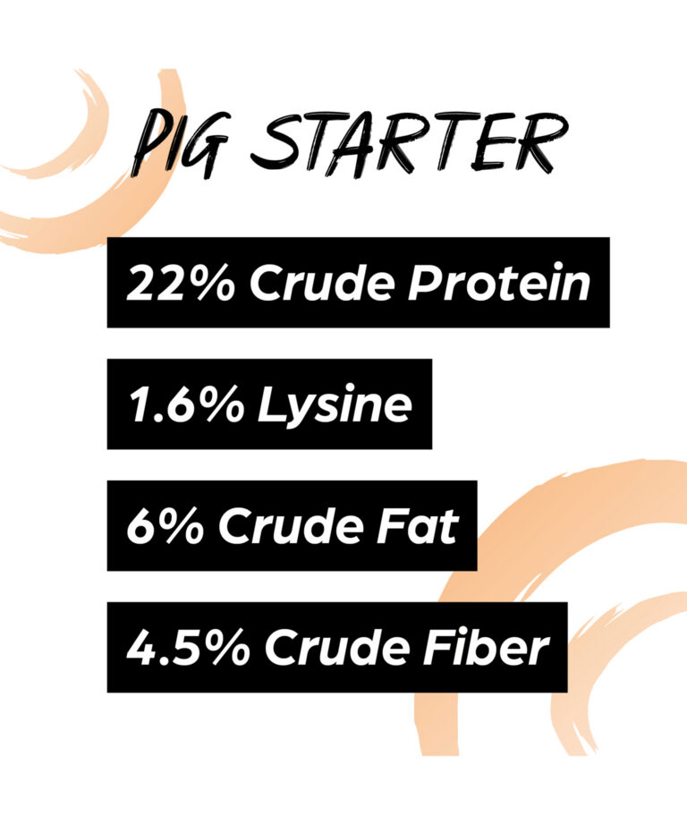Sunglo pig starter 22% crude protein
