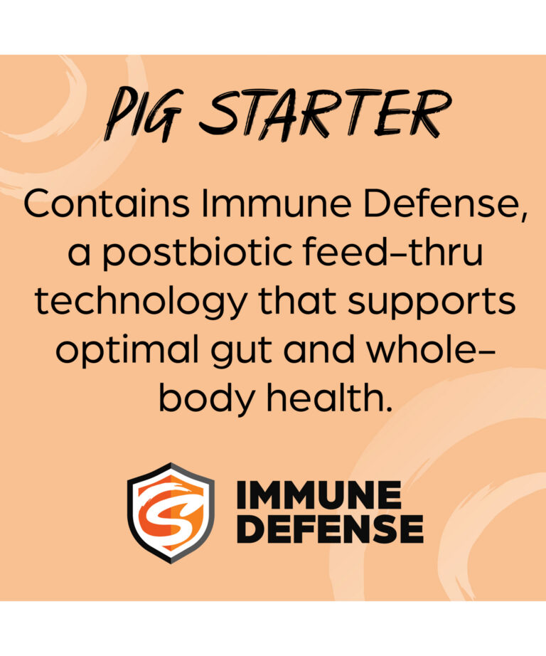 Sunglo pig starter containing immune defense