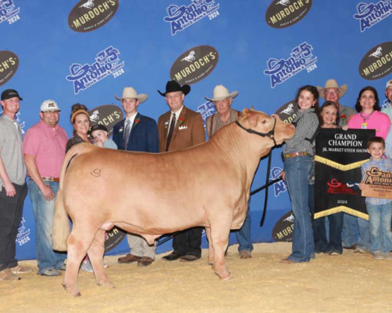 champion steer