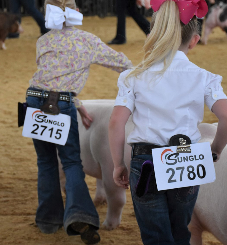 girls showing pigs