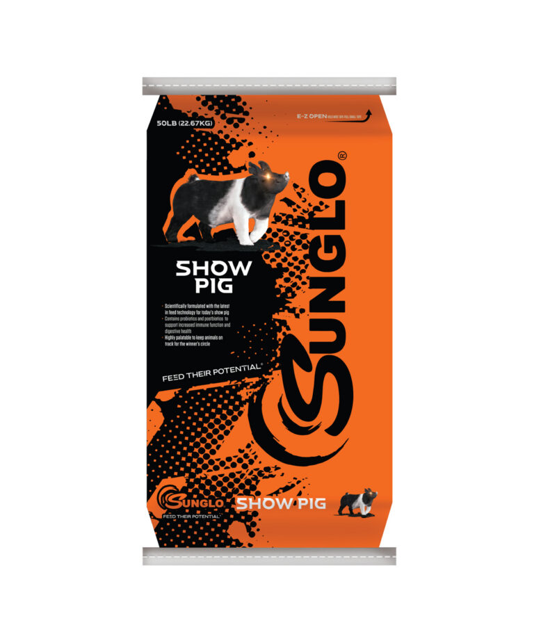 Sunglo TEN front of bag