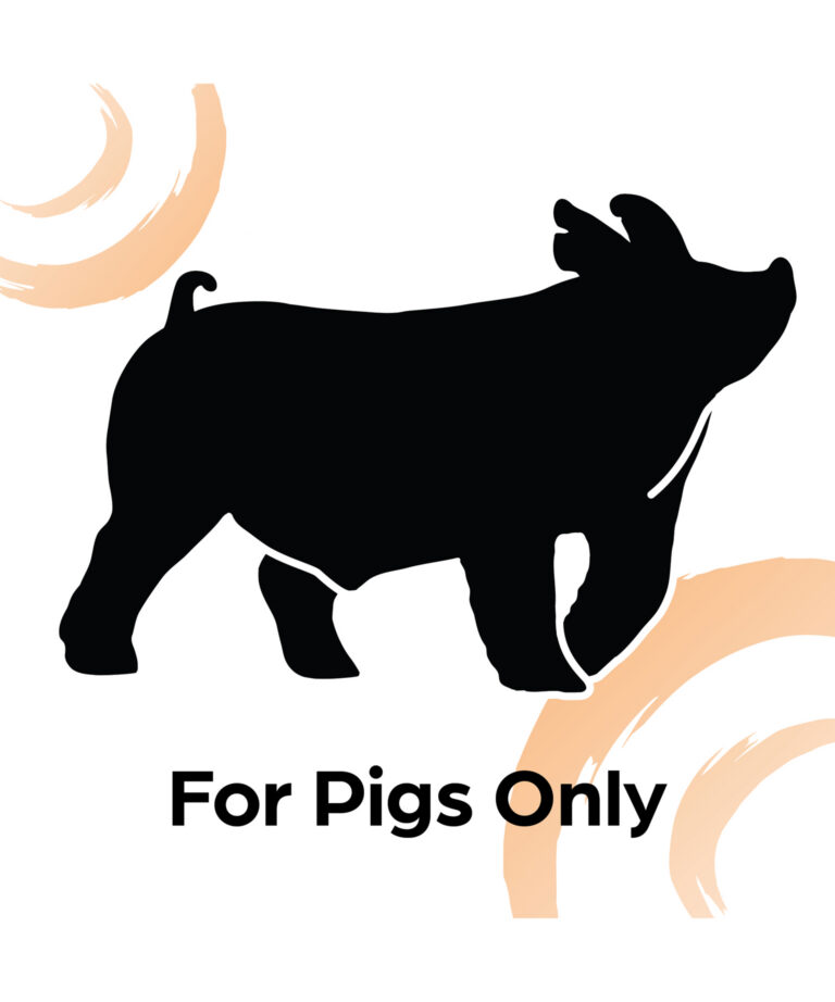 for pigs only