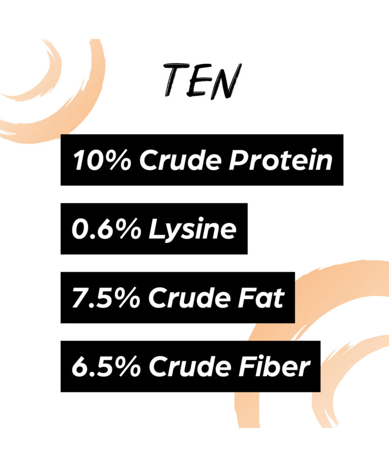 Sunglo Ten 10% protein