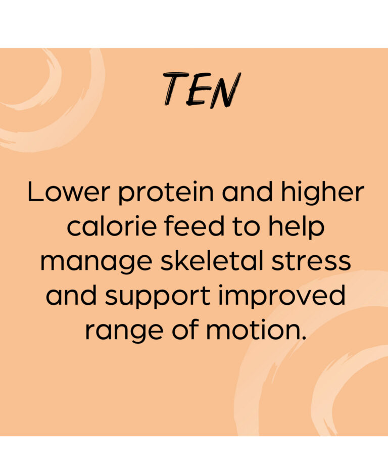 Sunglo TEN lower protein and higher calorie feed