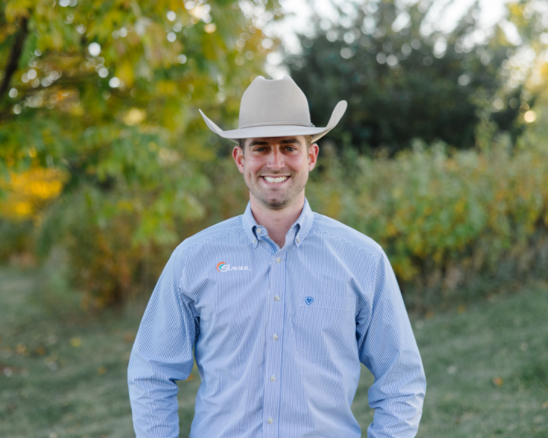 Nick Fitzsimmons Sunglo Feeds