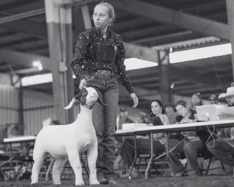 show goat fed Sunglo products