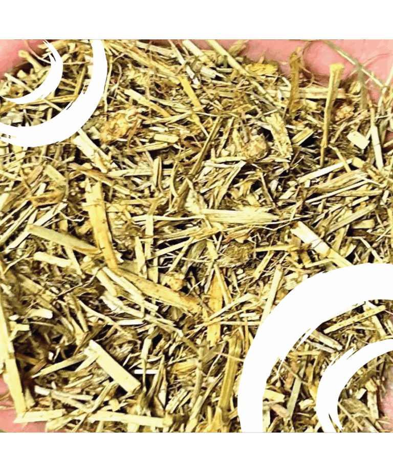 sunglo 2 the fullest forage