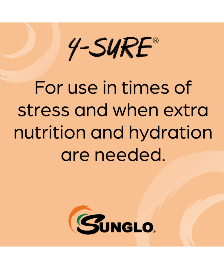 sunglo 4-sure for hydration