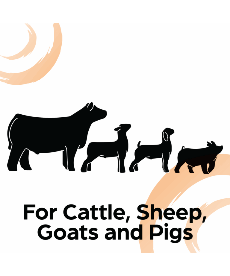 sunglo cattle, sheep, goat, and pig product
