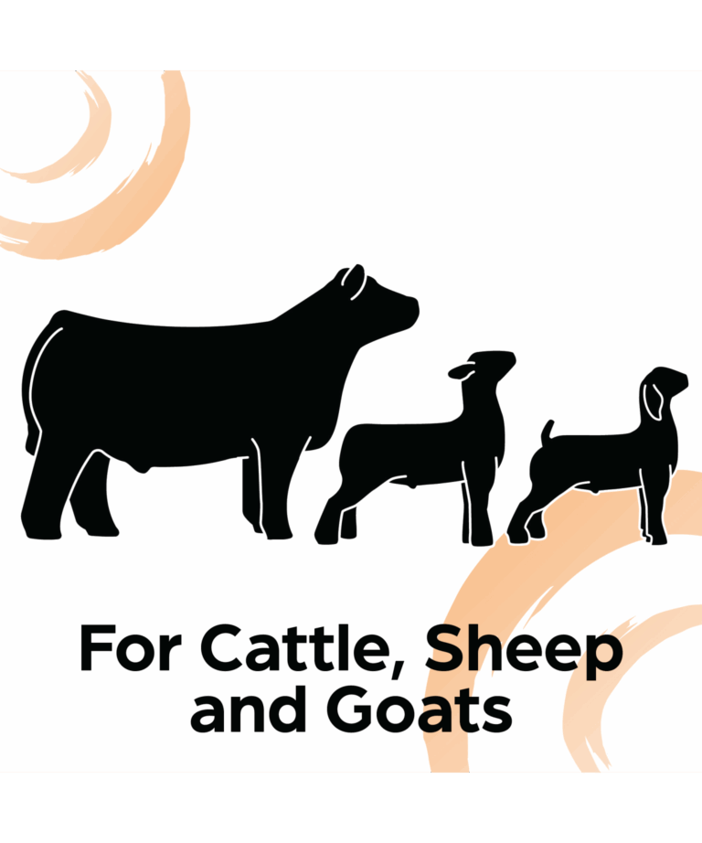 sunglo cattle, sheep and goat product