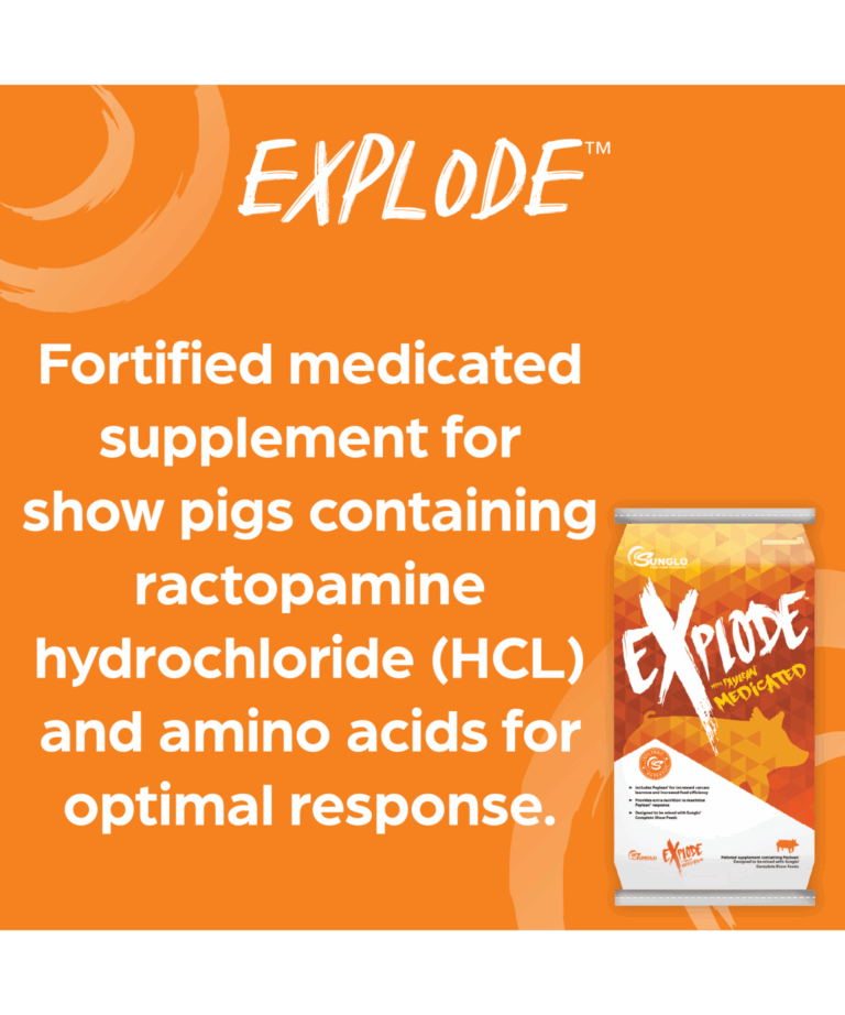 sunglo explode fortified medicated supplement for show pigs