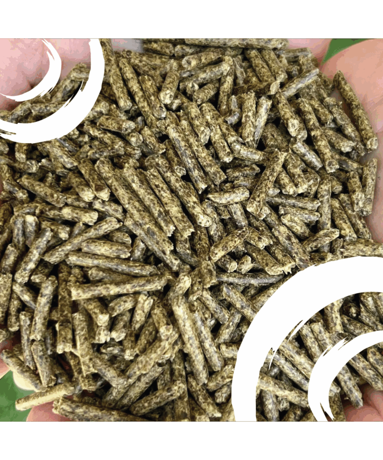 sunglo full tank pellet