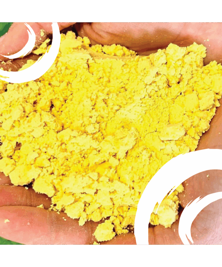 sunglo game on powder