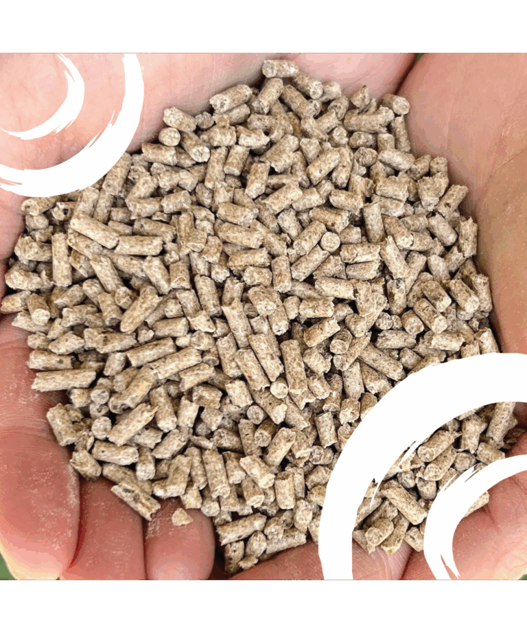 sunglo in motion pellet