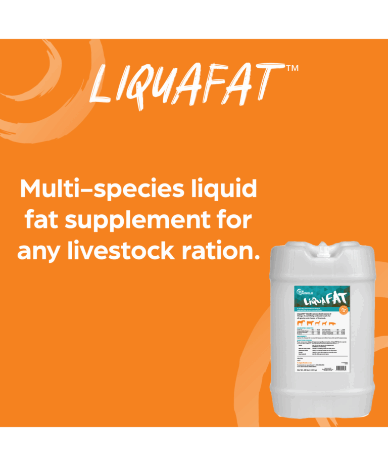 sunglo liquafat multi-species fat supplement