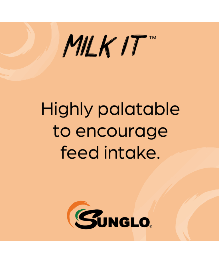 sunglo milk it highly palatable for feed intake