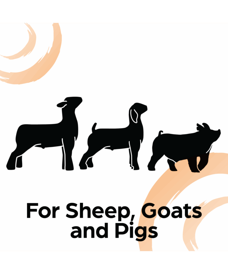 sunglo sheep, goat, pig product