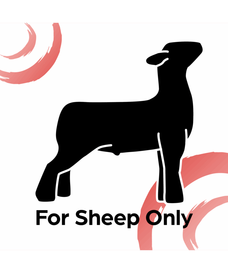 sunglo sheep product