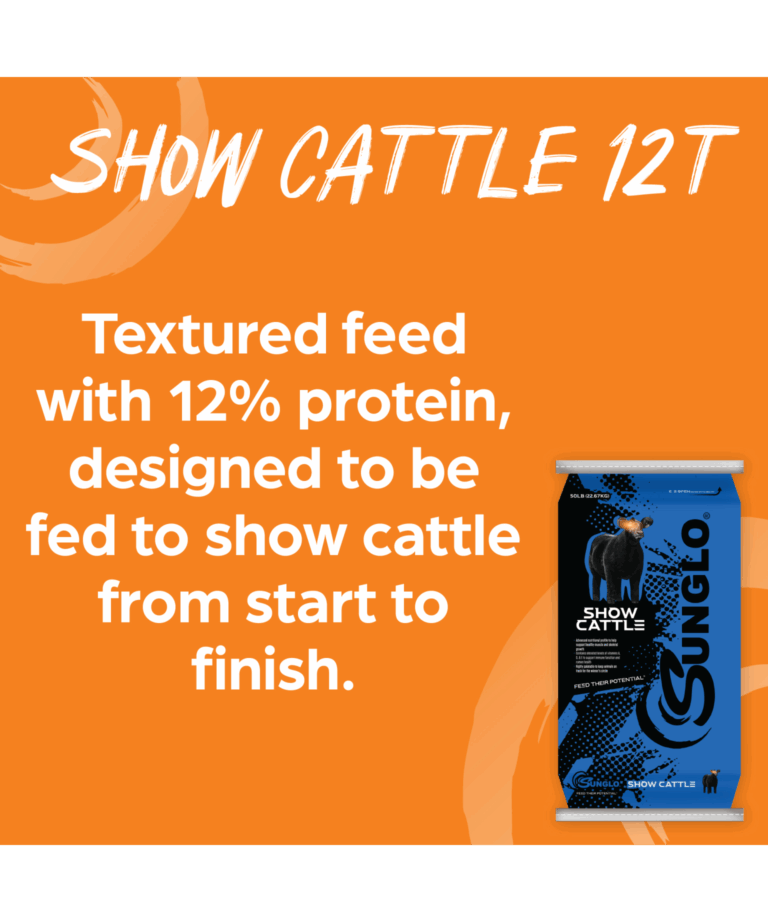 sunglo show cattle 12T textured feed from start to finish