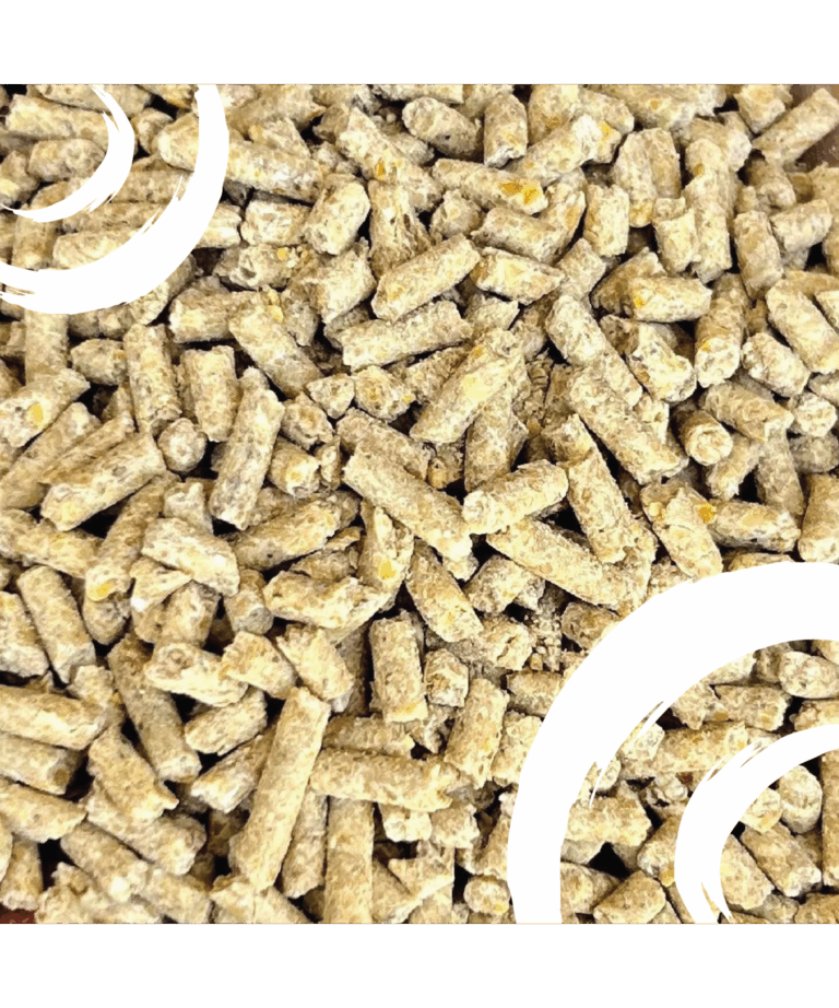 sunglo show cattle explosion pellet