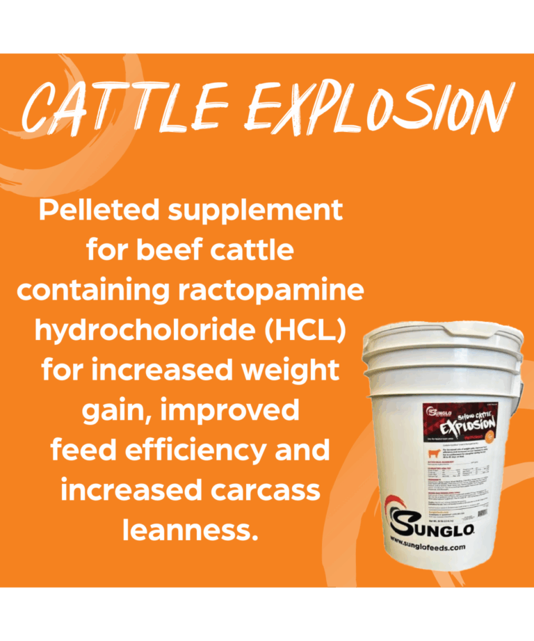 sunglo show cattle explosion pelleted supplement for beef cattle