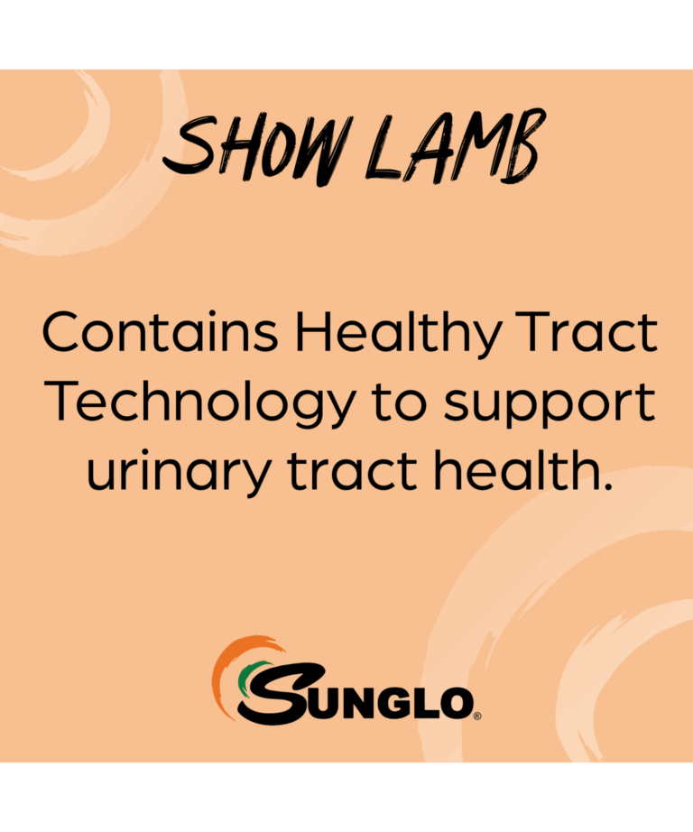 sunglo show lamb contains healthy tract technology