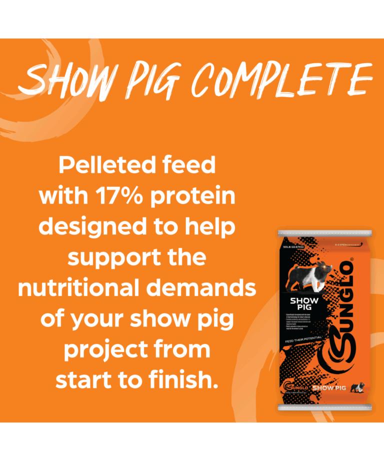 show pig complete pelleted feed from start to finish