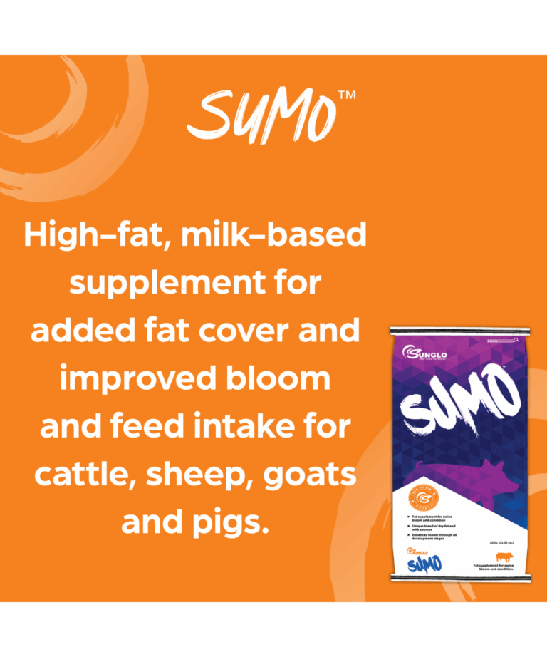 sunglo sumo high-fat, milk-based supplement