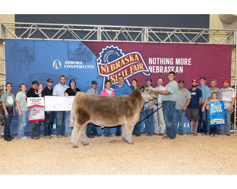 adam alfs show cattle