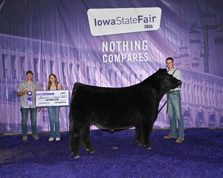 benjamin axmear show cattle