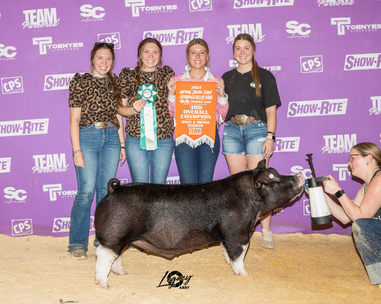 callie jennings show pig