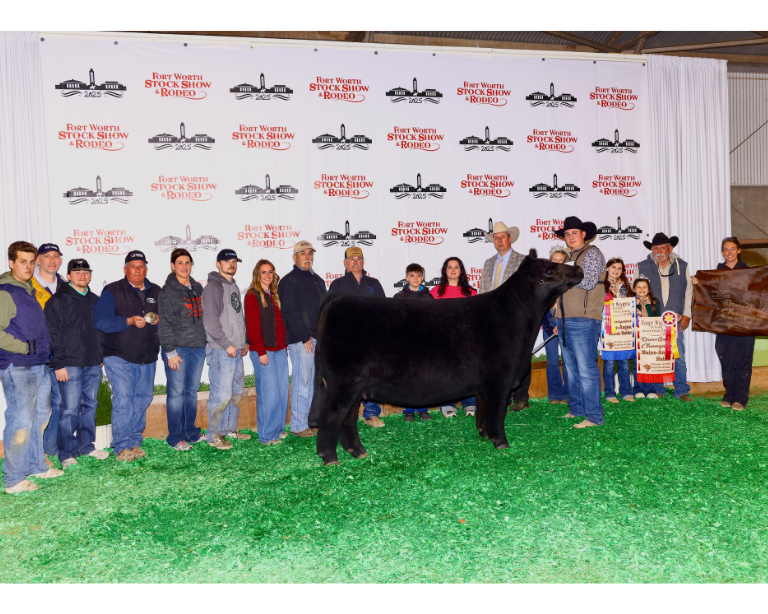 kreece smith show cattle