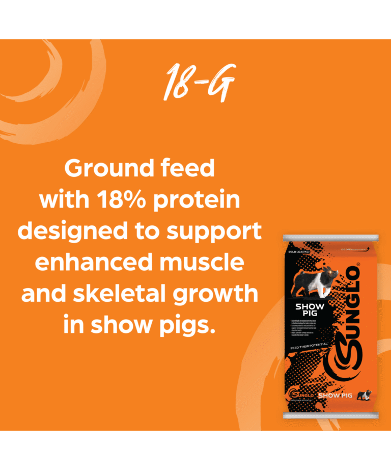 Sunglo 18-G ground feed for show pigs
