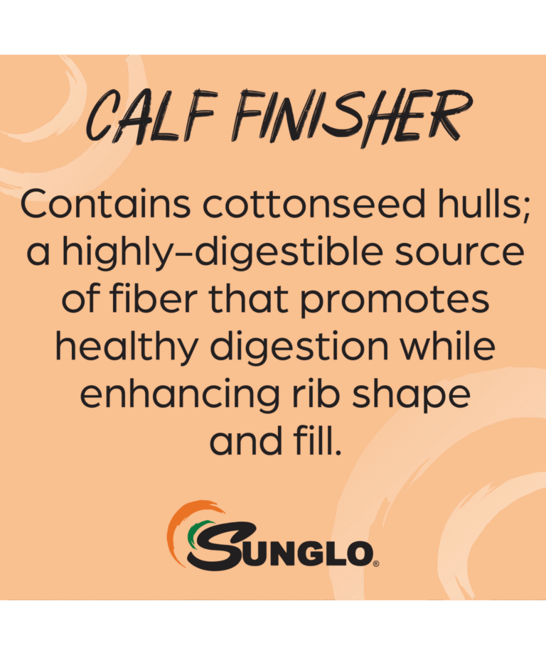 Sunglo calf finisher contains cottonseed hulls
