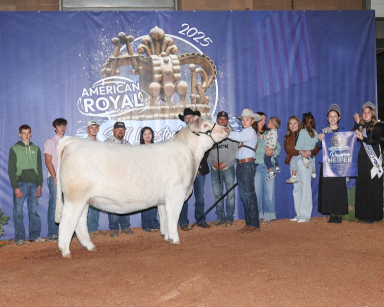 Reserve champion Charolais heifer shown by Brock Studer, with family and show royalty at the 2025 American Royal