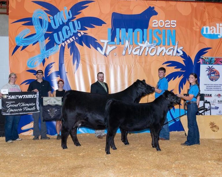 Grand champion Limousin cow and calf shown by Kesler Collins at the 2025 Limousin Junior Nationals in Perry, Georgia