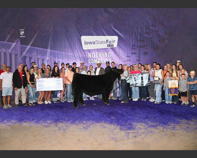 Grand champion 4-H market steer shown by Klaire Shanks, surrounded by a large crowd at the 2025 Iowa State Fair