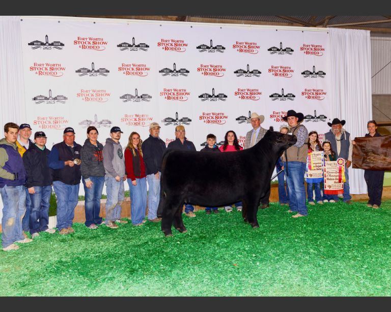 Reserve grand champion Maine-Anjou heifer shown by Kreece Smith at the 2025 Fort Worth Stock Show & Rodeo